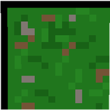 Forest floor