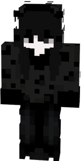 skin 12