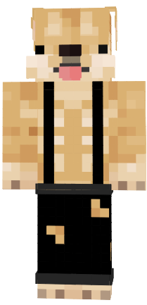 Preview of texture: dogee