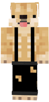 dogee