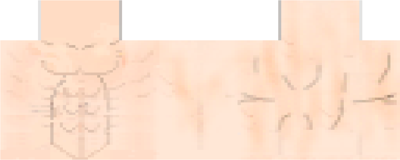 Preview of texture: lawliet646456