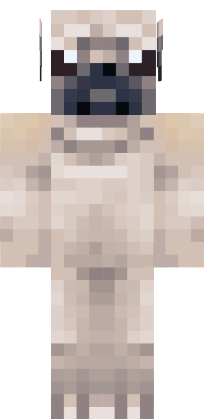 Preview of texture: pugoro