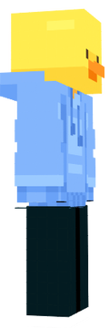 skin pal mikraft