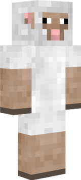 sheep