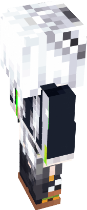 Preview of texture: sirakamihubuki