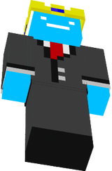 mcskin