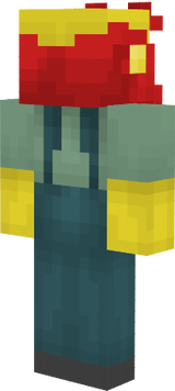 Willy Skin