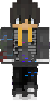 wip-skin