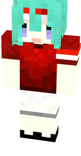 MC Skin 17 k