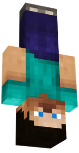 hd steve