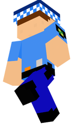 POLICE