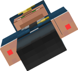 police
