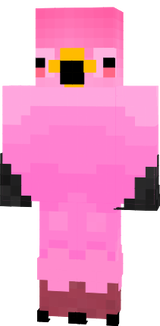 flamingo