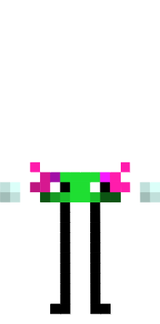 KinitoPet4