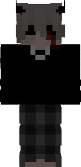 terminuss1