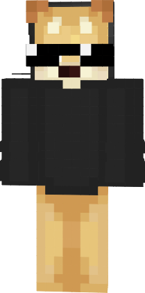 Preview of texture: poggo