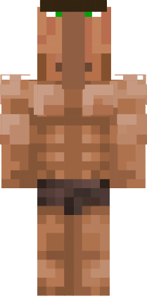 Preview of texture: aldeao
