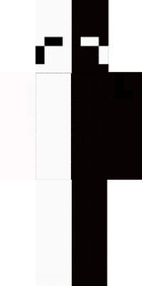 skin minecraft