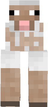 sheep2