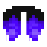elytra