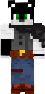 coyboy cat