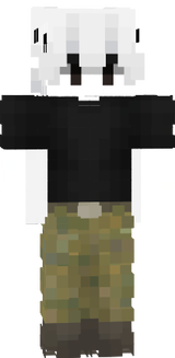 skin