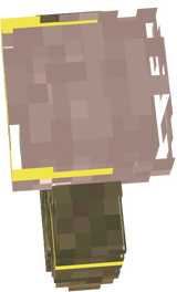 yy