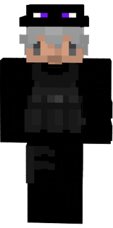 skin paiav2