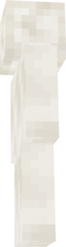 www