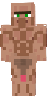 vilagerwhat