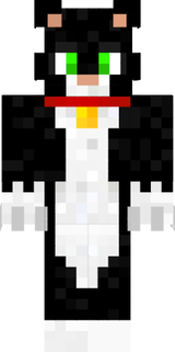 gato