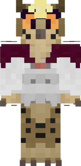 Cooki MHA outfit