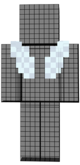 A pair of fly wings.