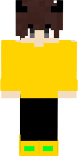 AMIRXP