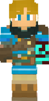 link skin