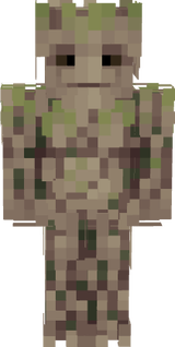 ensdrongo groot