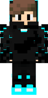 skin