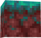 warped nylium