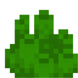 kelp