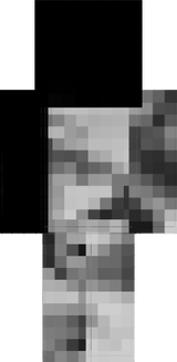 fsd