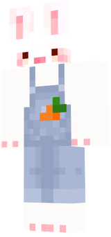 dsag