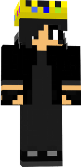 main skin 