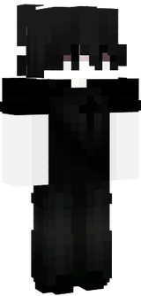 333333