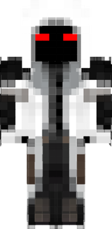 entity 303