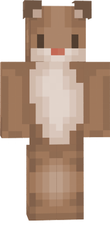 hamster