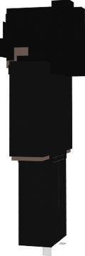 fsd