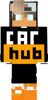 skin minecraft