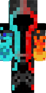 entity303