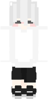 マイクラスキン