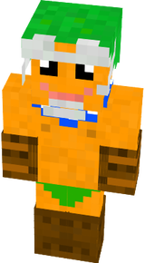 Gordon Link